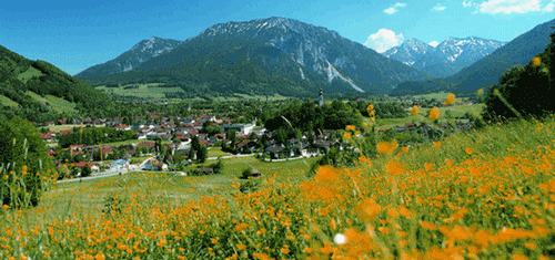 Chiemgau Urlaub, Reise, Ferien: Bergwiese bei Ruhpolding