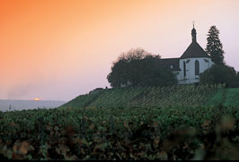 Fränkisches Weinland: Sonnenuntergang am Weinberg
