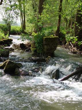 Naturpark Steigerwald Urlaub: Bachlauf